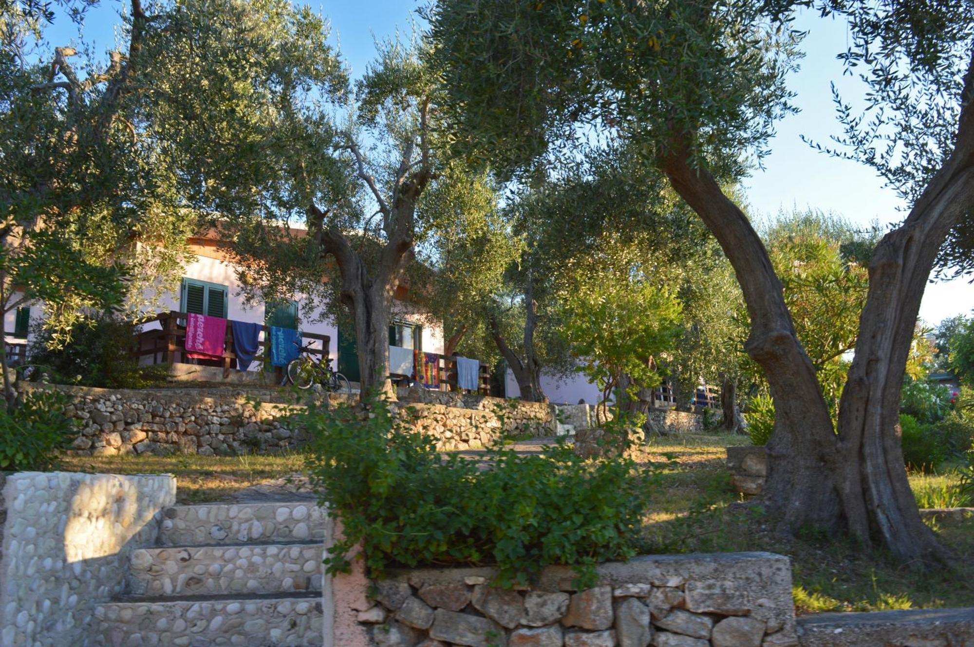 Villaggio Uliveto Rodi Garganico Eksteriør billede