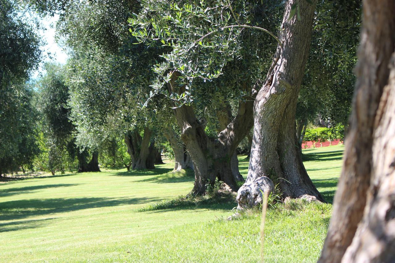 Villaggio Uliveto Rodi Garganico Eksteriør billede
